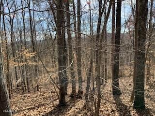 0 L 174 Lakeview Dr, Sharps Chapel, TN 37866