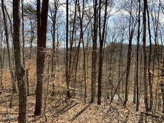 0 L 174 Lakeview Dr, Sharps Chapel, TN 37866