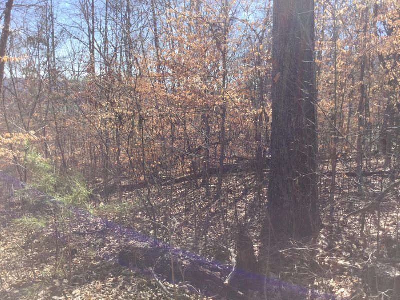 0 L 181 Lakeview Dr, Sharps Chapel, TN 37866