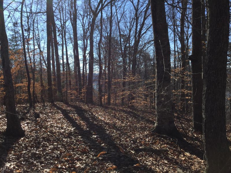 0 L 255 256 Big Ridge Pt, Sharps Chapel, TN 37866