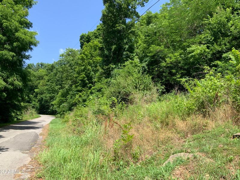 0 L 267 Lakeview Dr, Sharps Chapel, TN 37866