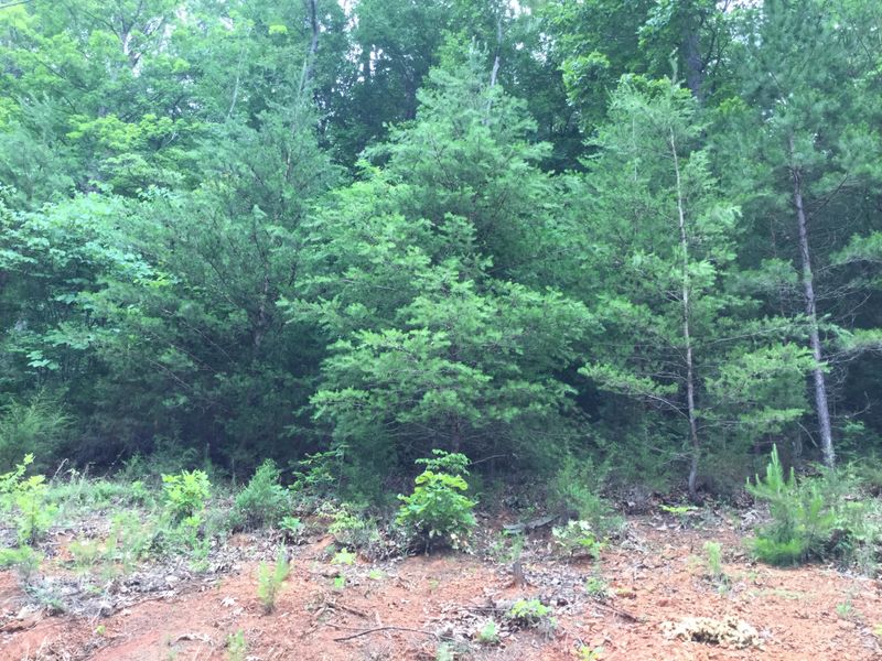 0 L 34 Highland Trace Rd, Sharps Chapel, TN 37866