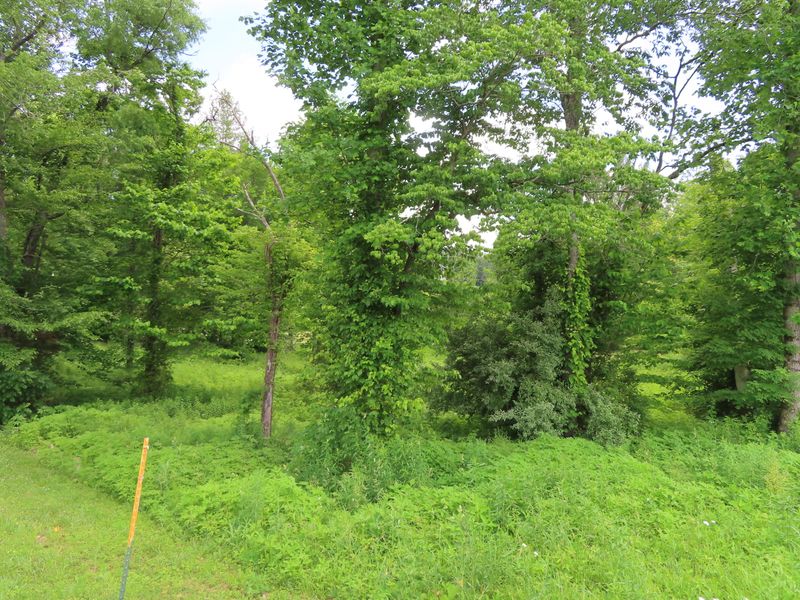 0 L 52 Old Leadmine Bend Rd, Sharps Chapel, TN 37866