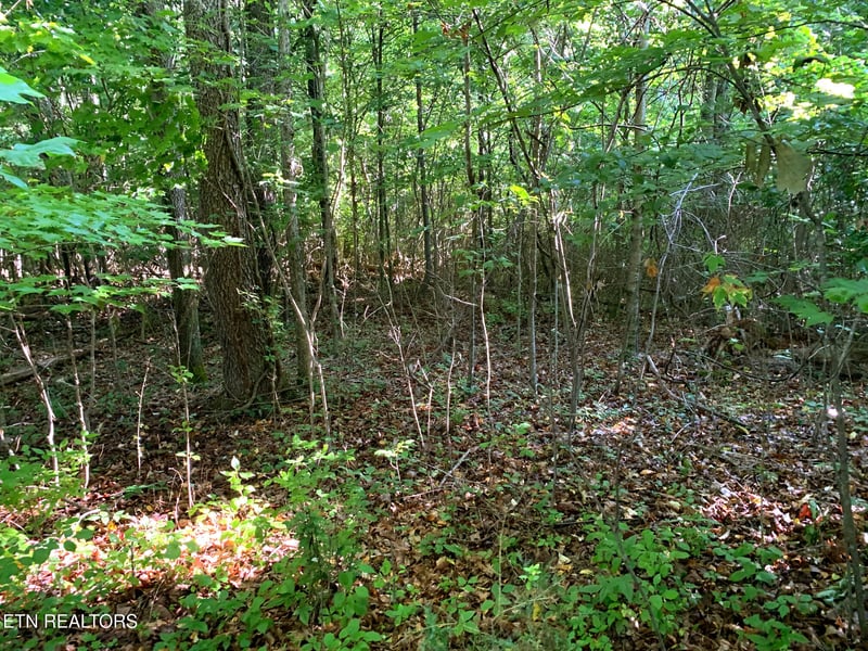 0 Lake City Hwy, Clinton, TN 37716