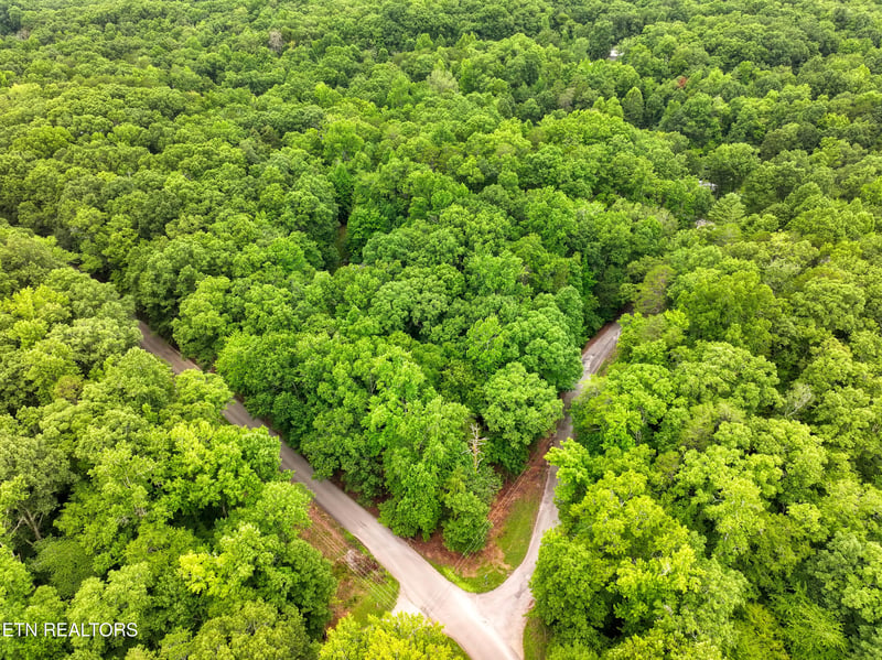 0 Lake Overlook Dr, Rockwood, TN 37854