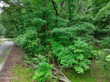 0 Lake Overlook Dr, Rockwood, TN 37854
