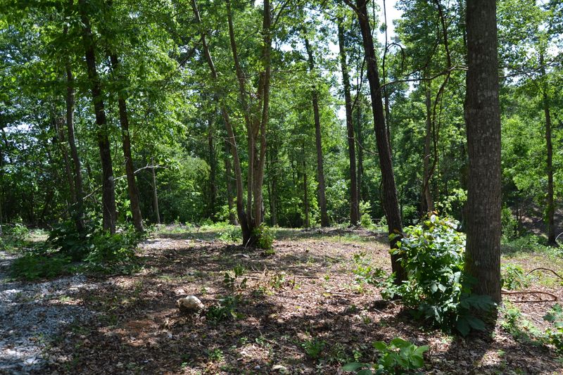 0 Lake Shore Dr, Rutledge, TN 37861