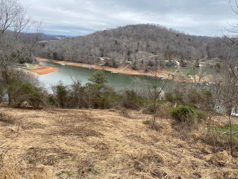 0 Lake Springs Dr, Lafollette, TN 37766