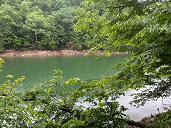 0 Lakemont Ln, Caryville, TN 37714