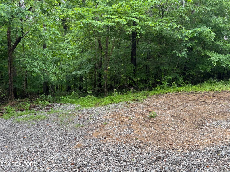 0 Lakemont Ln, Caryville, TN 37714