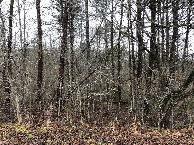 0 Lakeside Dr, Jacksboro, TN 37757