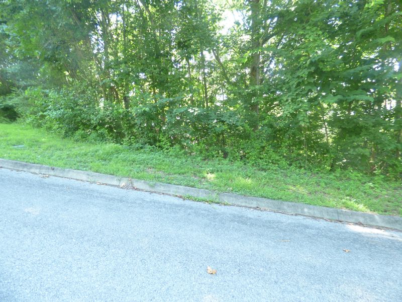 0 Lakeview Dr Lot 1, Harriman, TN 37748