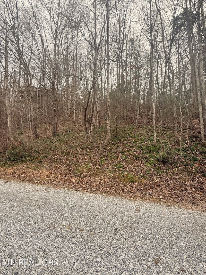 0 Lakeview Dr, Sevierville, TN 37876