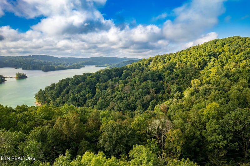 0 Lakeview Dr, Sharps Chapel, TN 37866