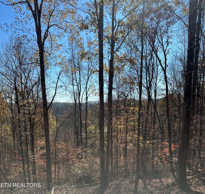 0 Landmark Rd, Jacksboro, TN 37757