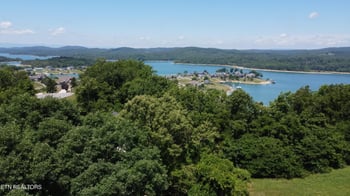 0 Larayne Hollow Rd #924, Sharps Chapel, TN 37866