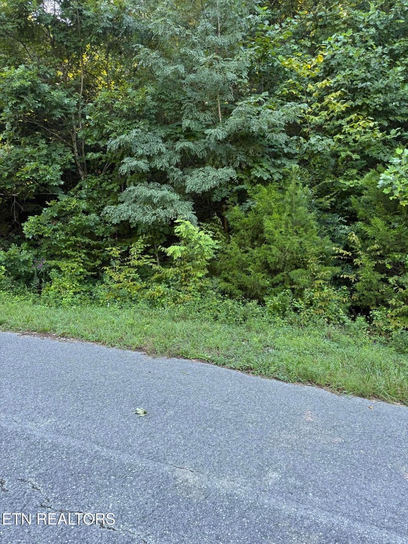 0 Larayne Hollow Rd, Sharps Chapel, TN 37866