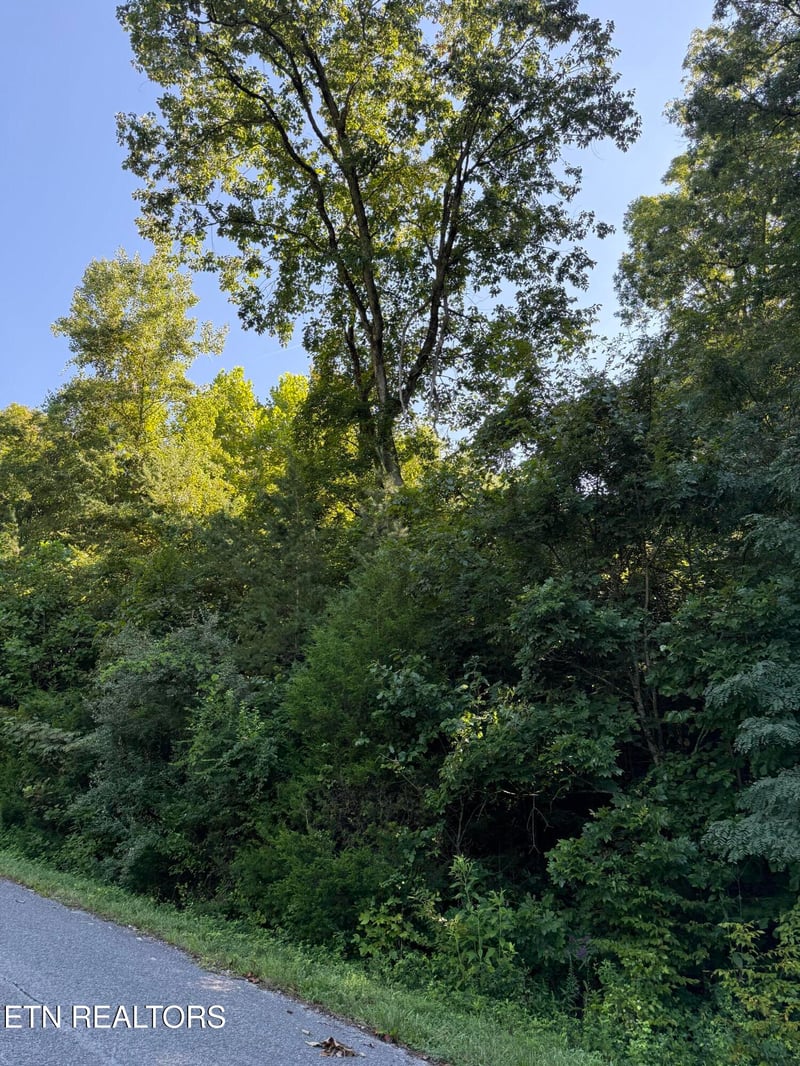 0 Larayne Hollow Rd, Sharps Chapel, TN 37866