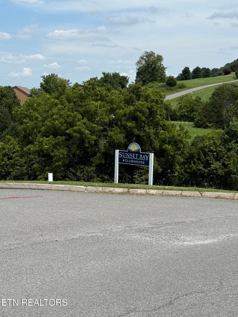 0 Larayne Hollow Rd, Sharps Chapel, TN 37866