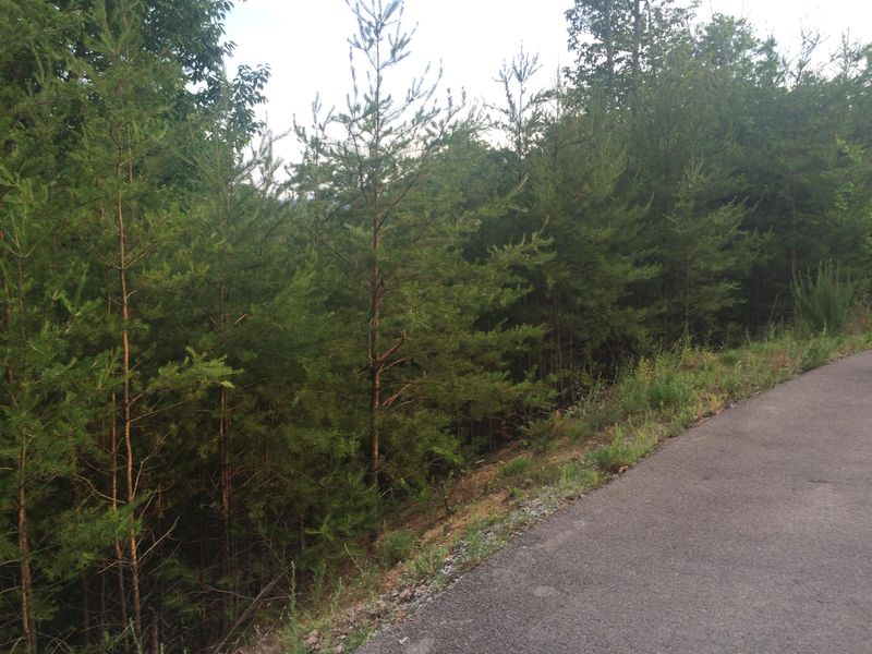 0 Laughing Pine Ln, Sevierville, TN 37862