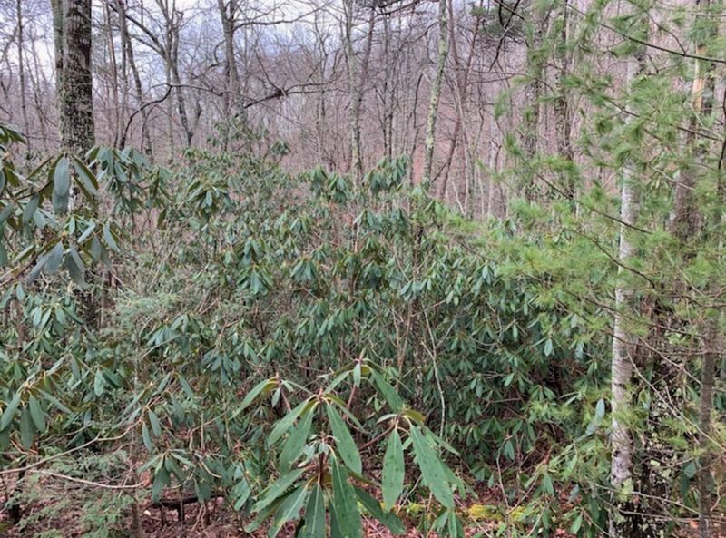 0 Laurel Ct 36 37 &alpine Dr 38, Sevierville, TN 37876