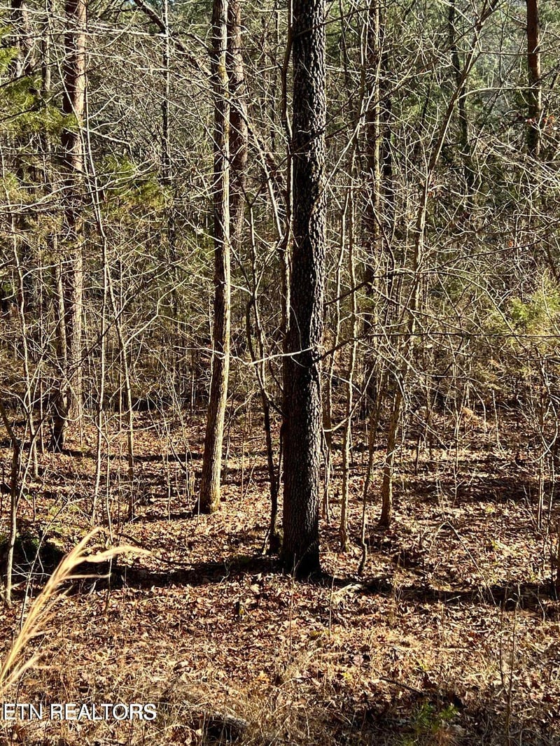 0 Laurel Lake Circle Lot 43, Madisonville, TN 37354