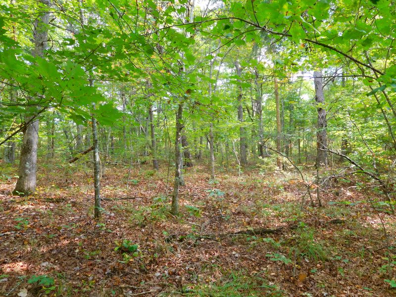 0 Laurel Loop #201, Monterey, TN 38574