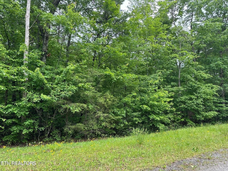 0 Laurel Loop, Monterey, TN 38574