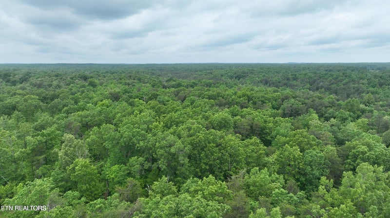0 Laurel Loop, Monterey, TN 38574