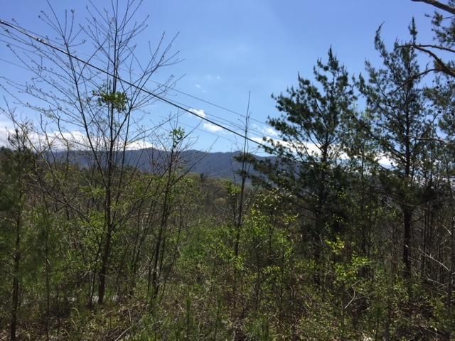0 Laurel Valley Rd, Townsend, TN 37882