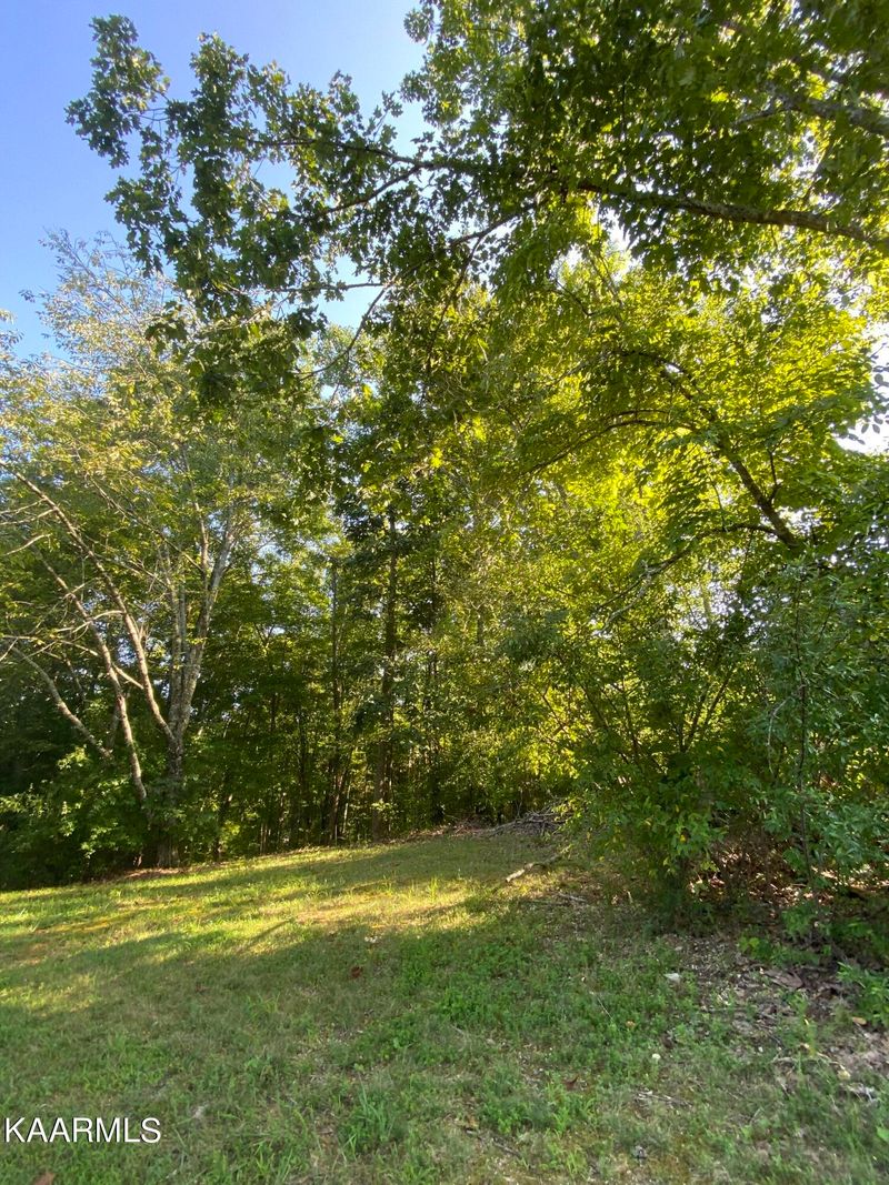 0 Laurel Way, Lafollette, TN 37766