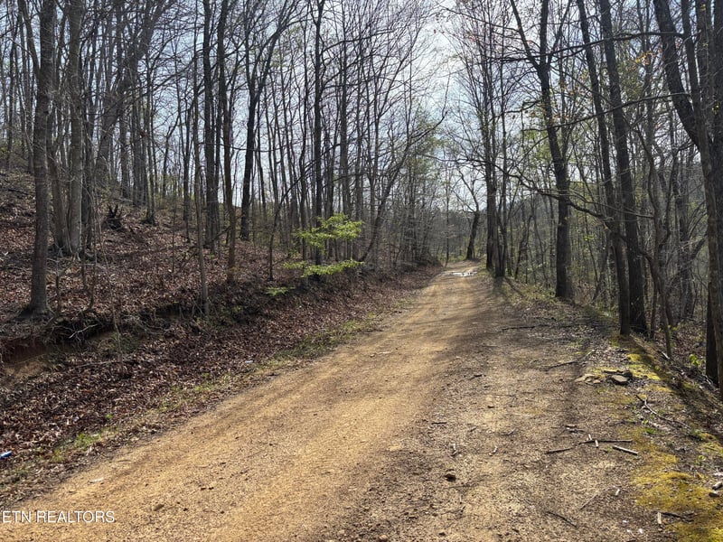 0 Lawson Rd, Huntsville, TN 37756