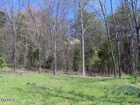 0 Lea Lakes Rd, Blaine, TN 37709