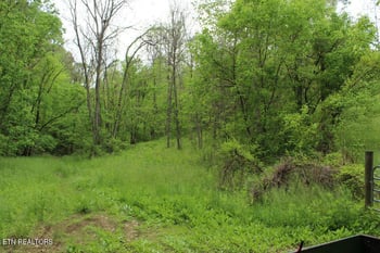 0 Leatherwood Rd, Sevierville, TN 37876