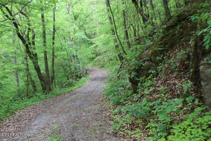 0 Leatherwood Rd, Sevierville, TN 37876
