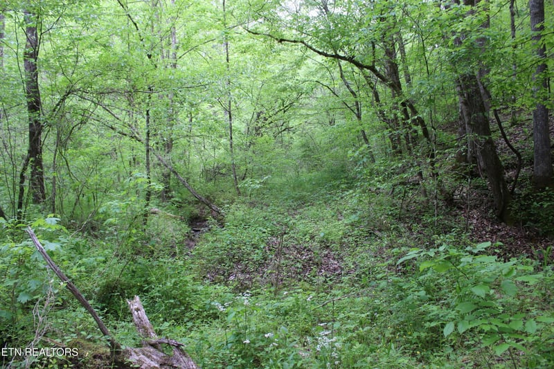 0 Leatherwood Rd, Sevierville, TN 37876