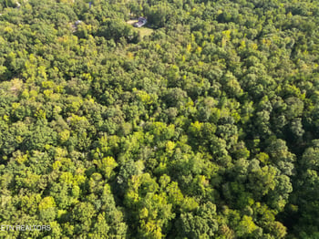 0 Ledgerwood Heights Dr, Rockwood, TN 37854