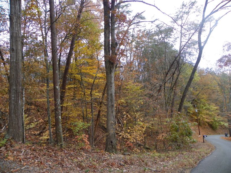 0 Lee Cardwell Cir, Pigeon Forge, TN 37863