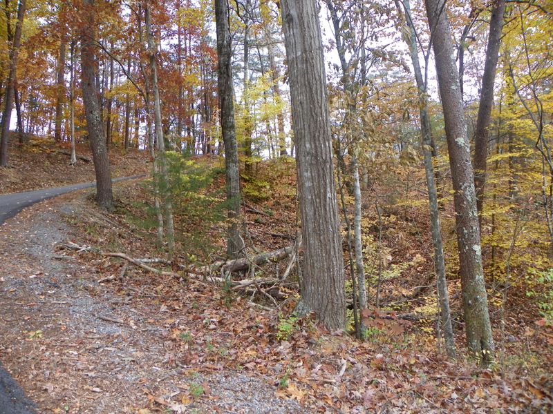 0 Lee Cardwell Cir, Pigeon Forge, TN 37863