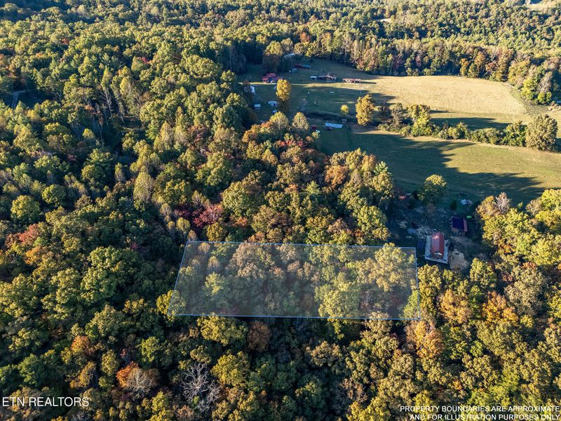0 Lee Cox Rd, Oakdale, TN 37829