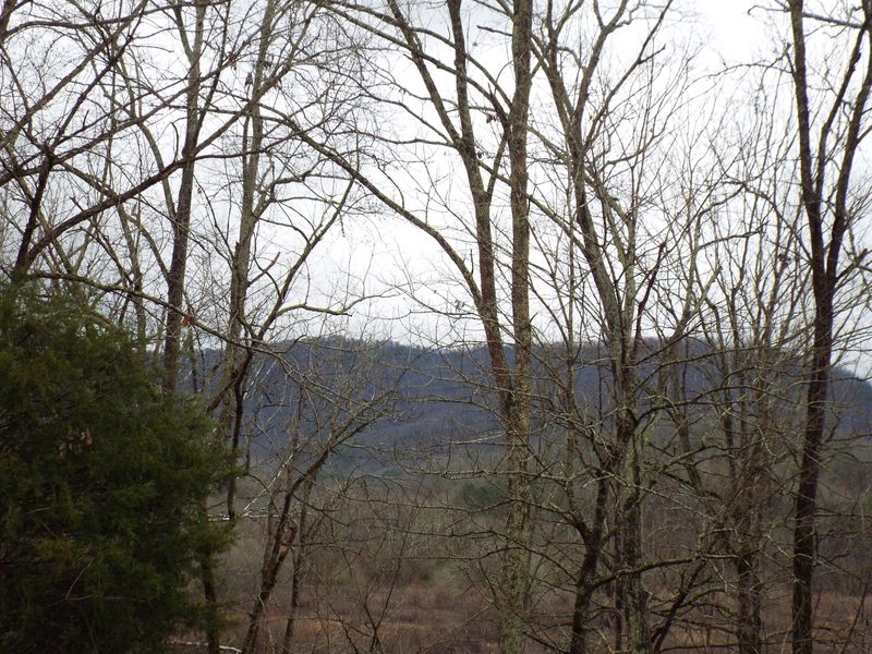 0 Lee Lambert Rd, Maryville, TN 37803