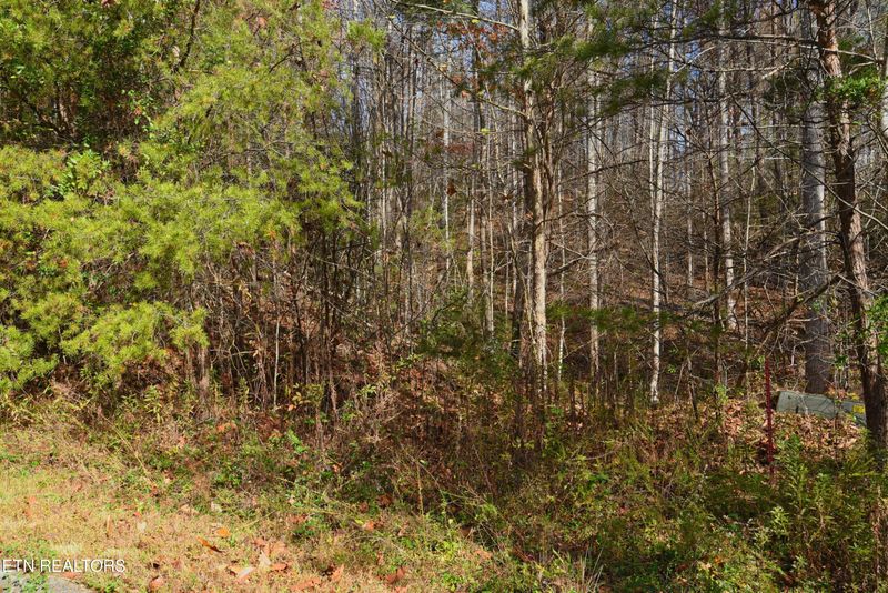 0 Legend Lot 3 Dr, Sevierville, TN 37876