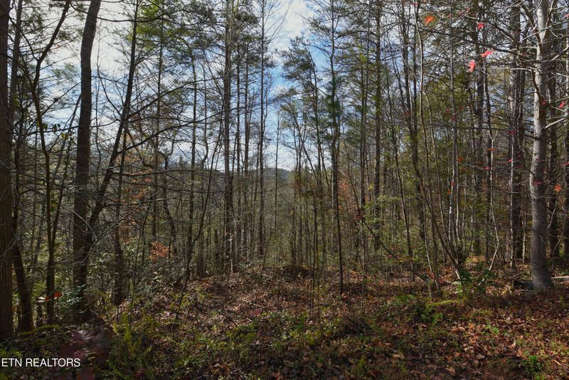 0 Legend Lot 9, Sevierville, TN 37876