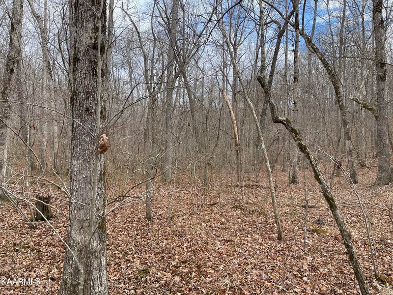 0 Leistner Dr #2, Monterey, TN 38574