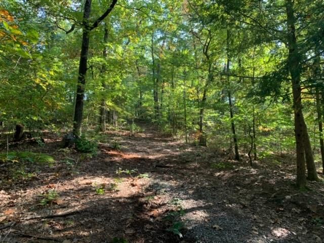 0 Lenord Huskey Ln, Pigeon Forge, TN 37863