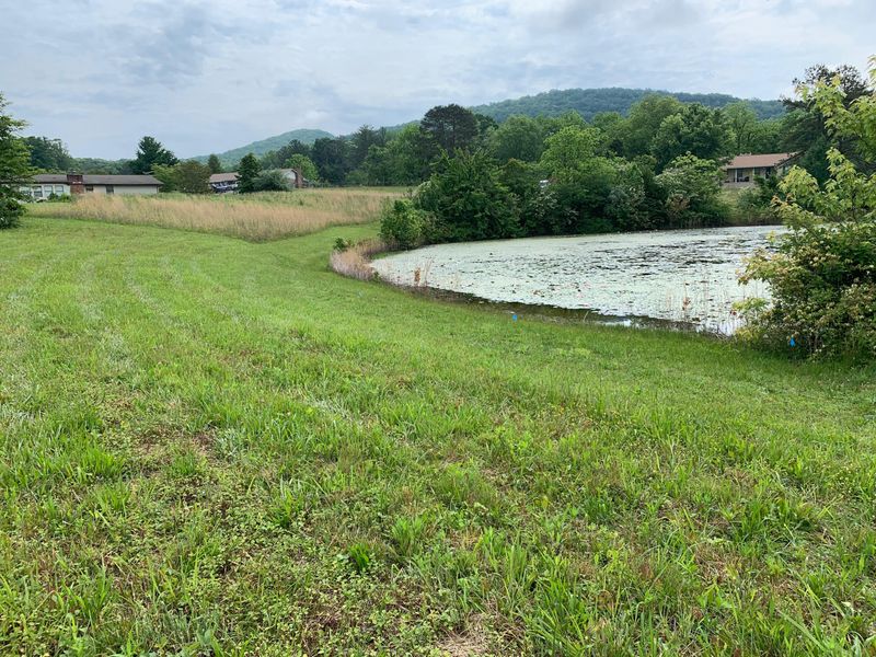 0 Leslie Dr, Harriman, TN 37748