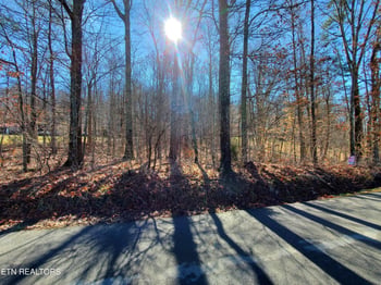 0 Lester Jarnigan Rd, Rutledge, TN 37861