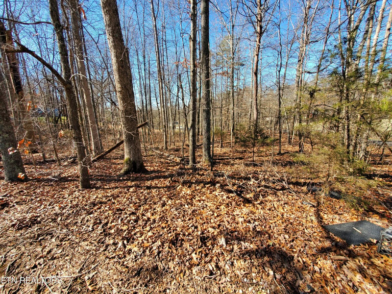 0 Lester Jarnigan Rd, Rutledge, TN 37861