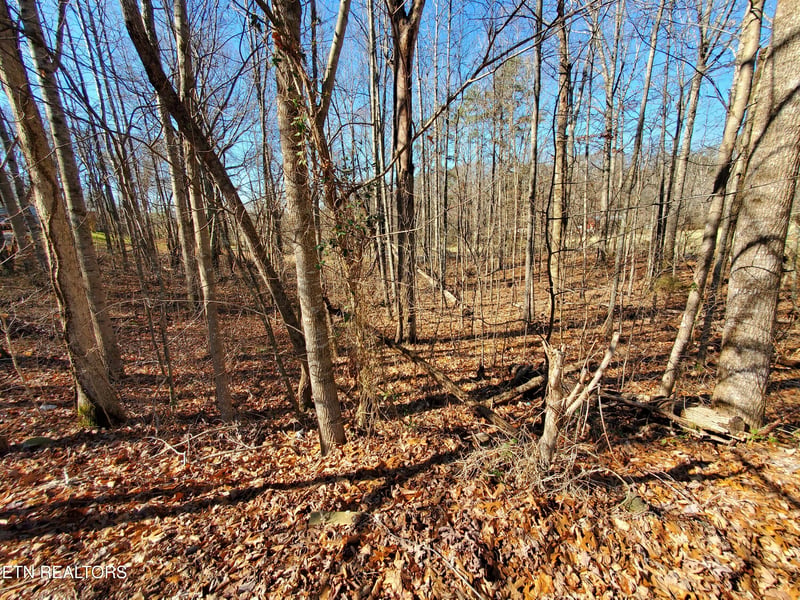 0 Lester Jarnigan Rd, Rutledge, TN 37861