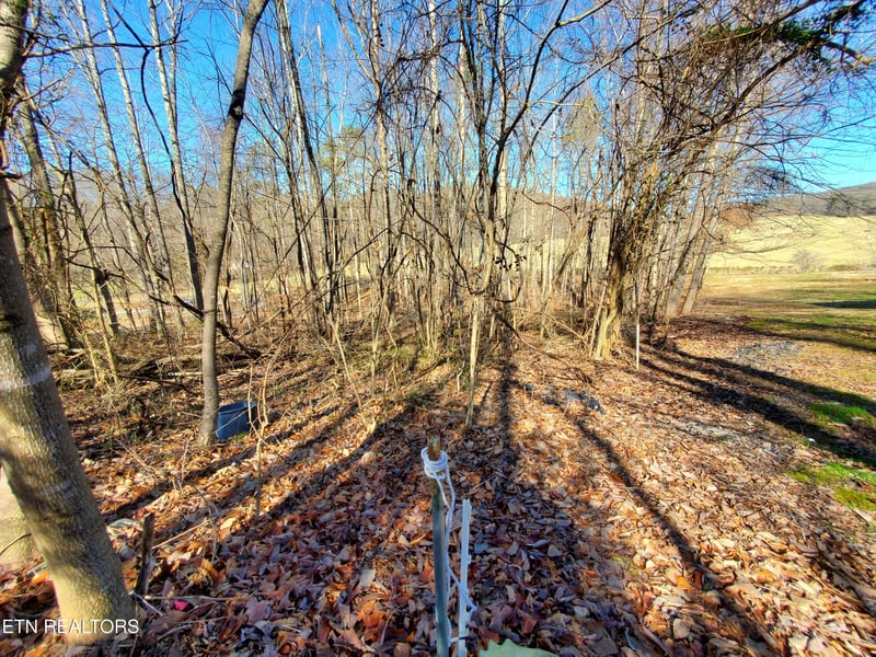0 Lester Jarnigan Rd, Rutledge, TN 37861